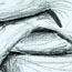 anatomy_thumb